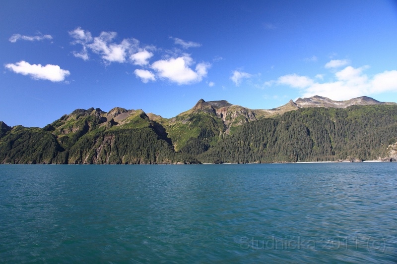 Kenai_029.JPG