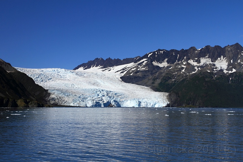 Kenai_074.JPG