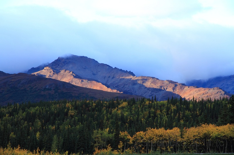 Denali_004.JPG