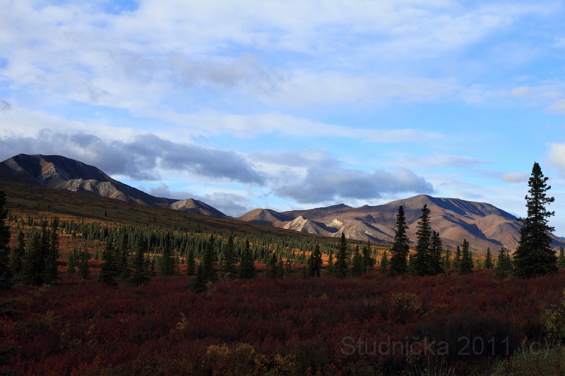 Denali_008.JPG