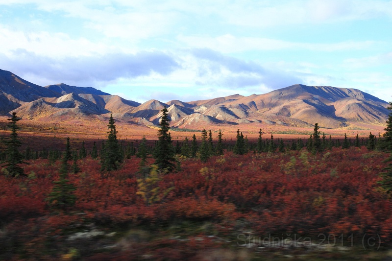 Denali_012.JPG