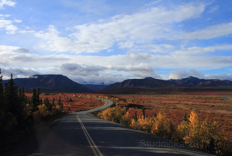 Denali_017.JPG