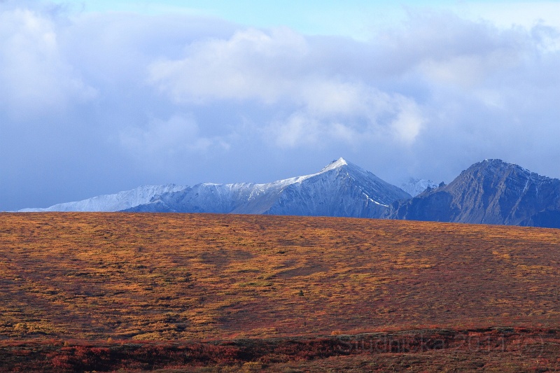 Denali_020.JPG