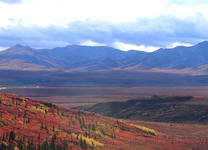 Denali_021.JPG