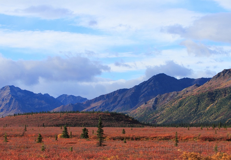 Denali_024.JPG