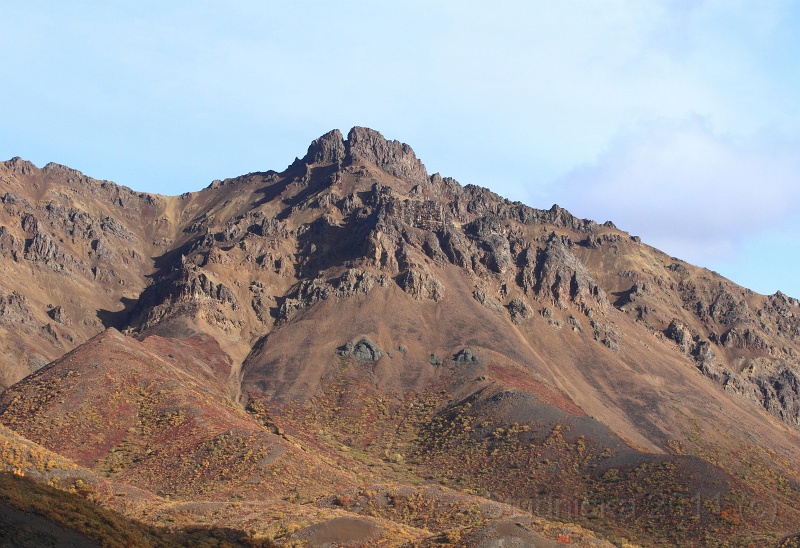 Denali_029.JPG