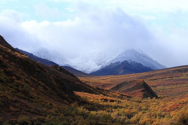 Denali_030.JPG