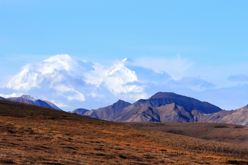 Denali_031.JPG