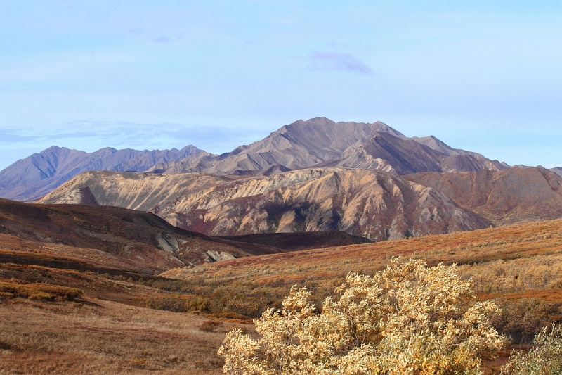 Denali_032.JPG