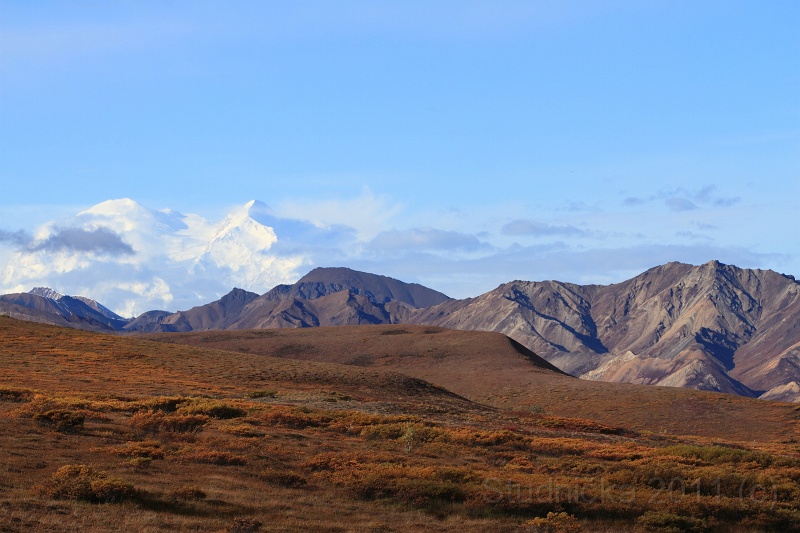 Denali_033.JPG