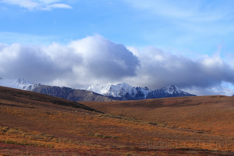 Denali_034.JPG