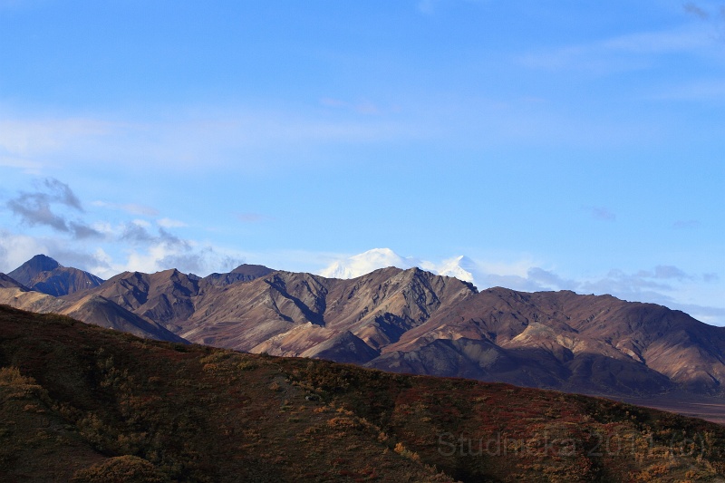 Denali_036.JPG