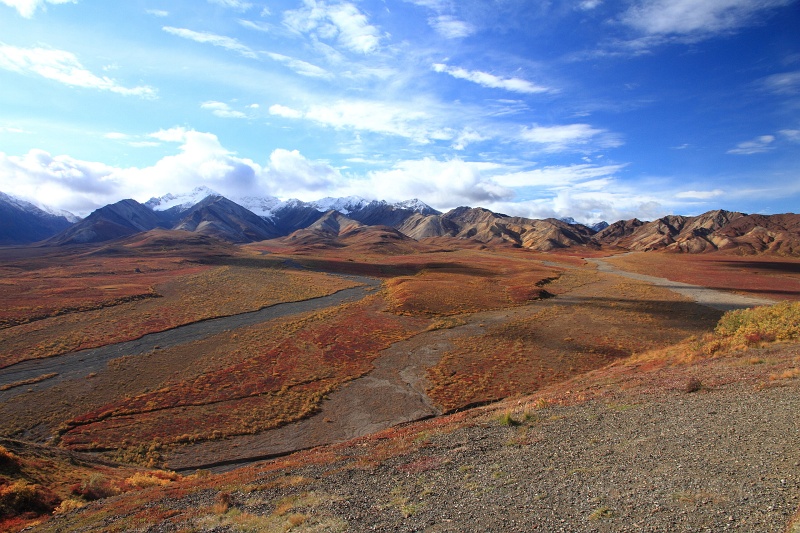 Denali_039.JPG