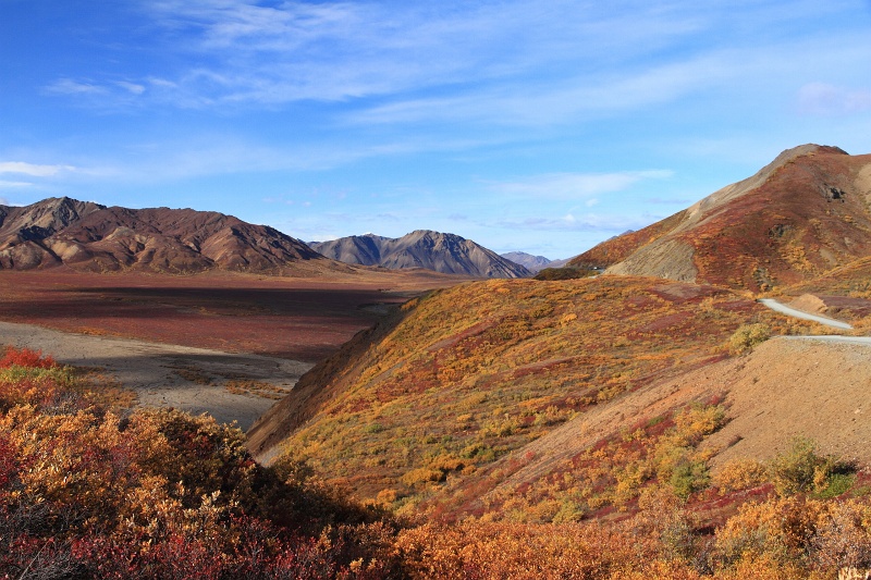 Denali_040.JPG