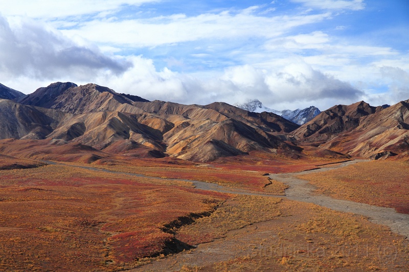 Denali_042.JPG