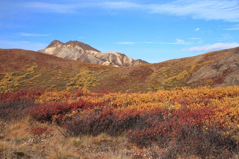 Denali_043.JPG