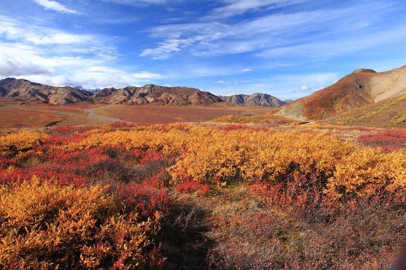 Denali_044.JPG