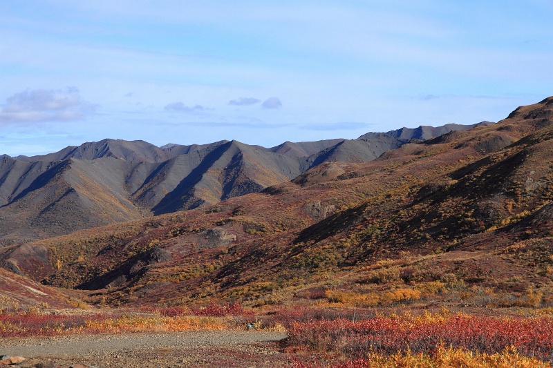 Denali_045.JPG