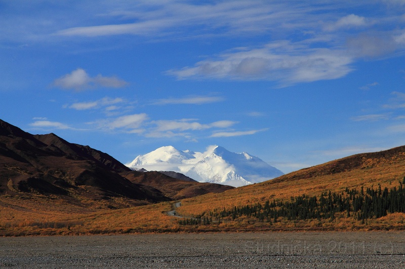 Denali_049.JPG