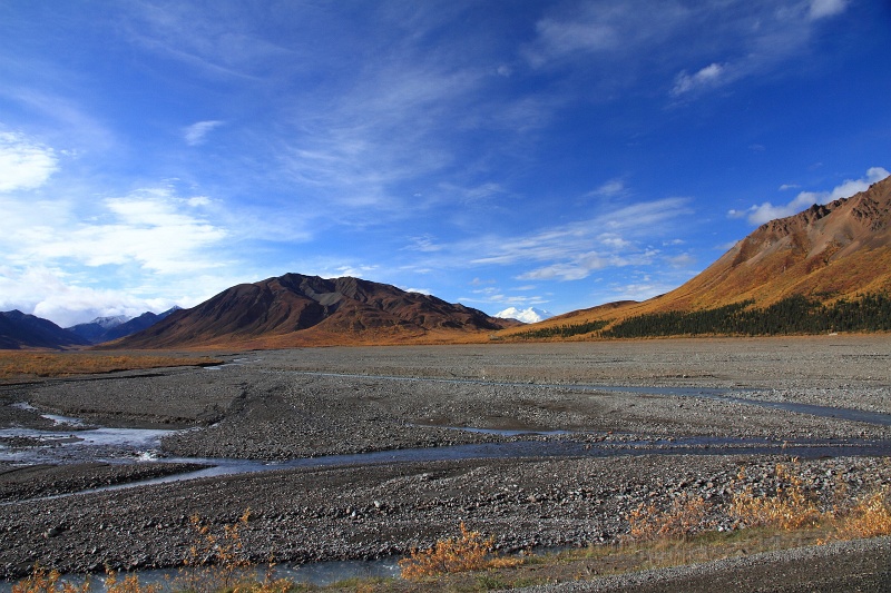 Denali_050.JPG