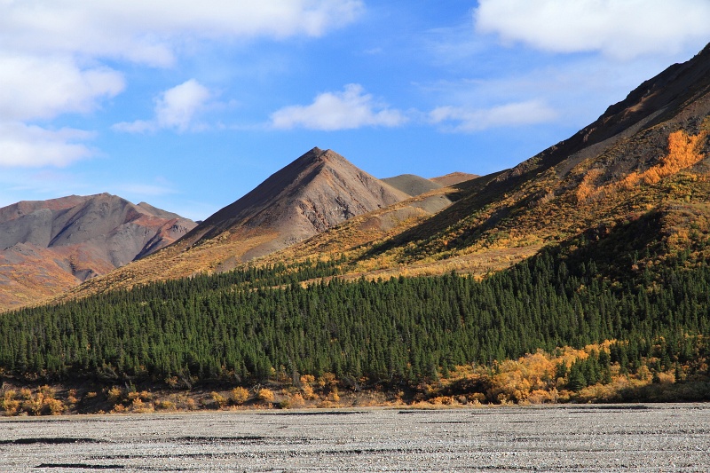 Denali_055.JPG