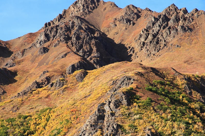 Denali_056.JPG