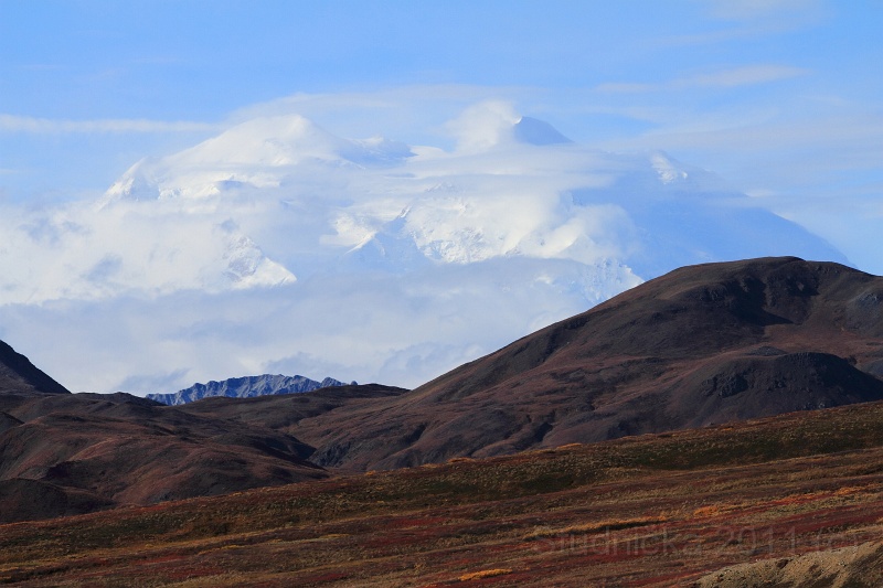 Denali_057.JPG