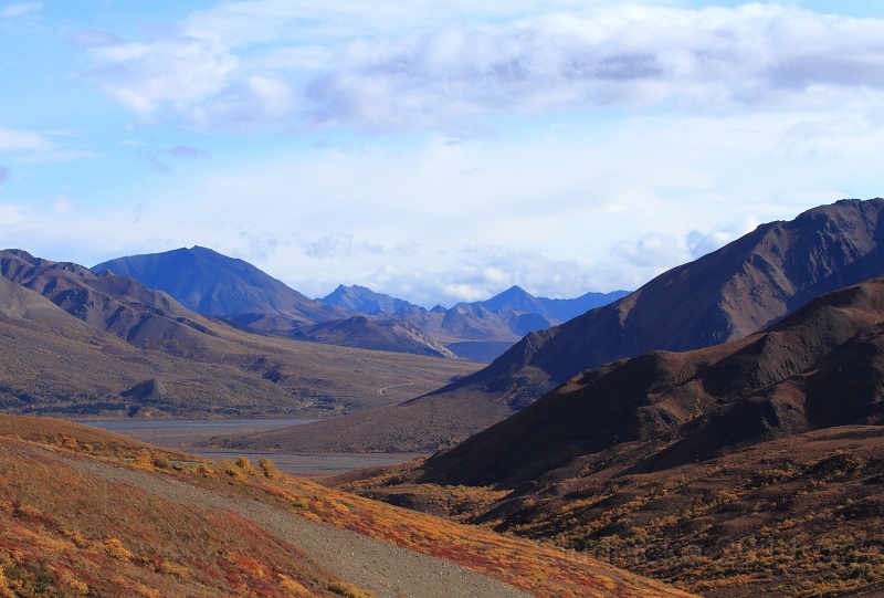 Denali_059.JPG