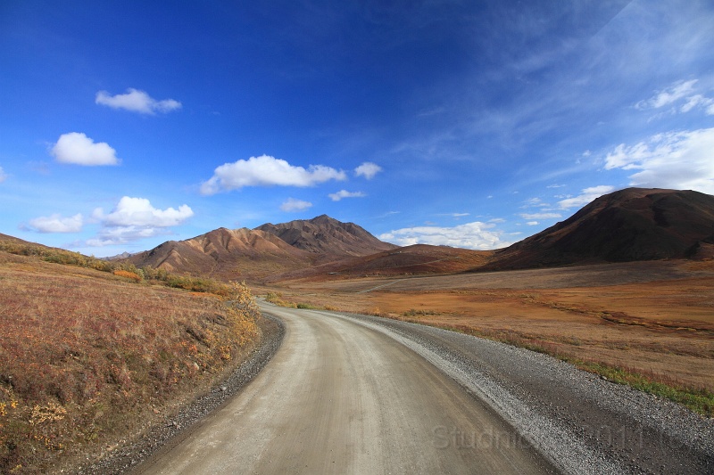 Denali_064.JPG