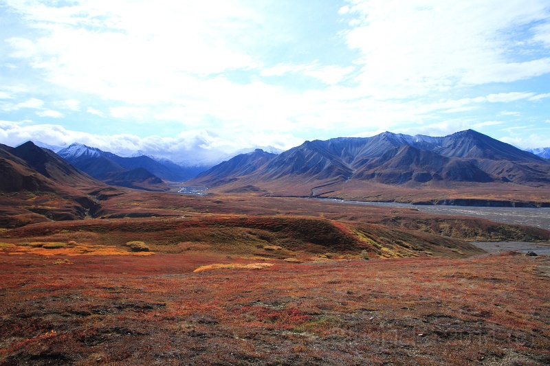 Denali_069.JPG