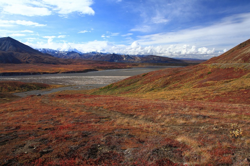 Denali_070.JPG