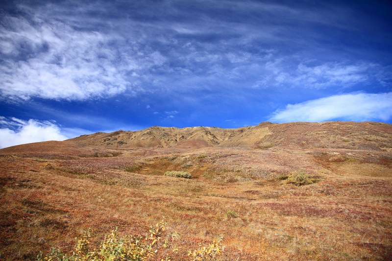 Denali_082.JPG