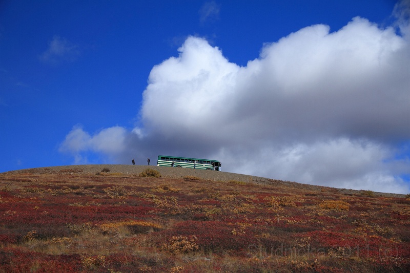 Denali_084.JPG