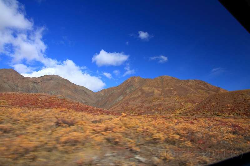 Denali_086.JPG