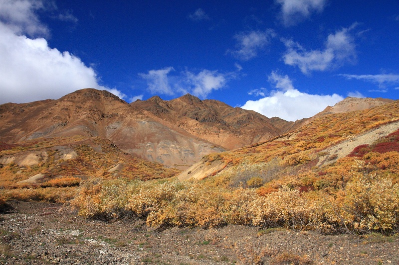 Denali_089.JPG