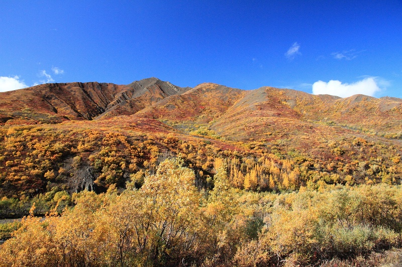 Denali_092.JPG