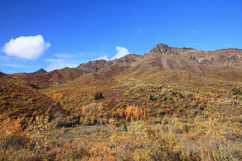 Denali_093.JPG