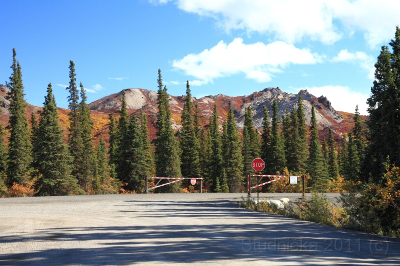 Denali_094.JPG