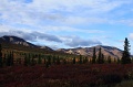 Denali_008