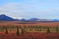 Denali_014