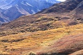 Denali_061